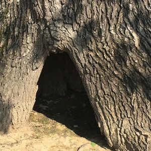 Meet your Posher, Wendy